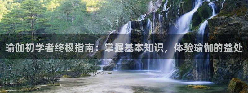 欧洲杯买球手机app
