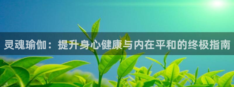 欧洲杯竞猜网站