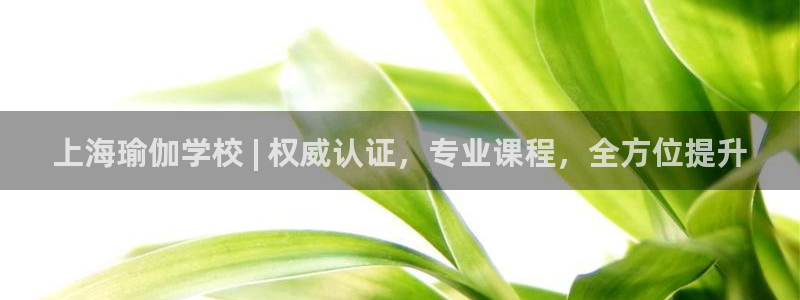 欧洲杯彩票哪里买
