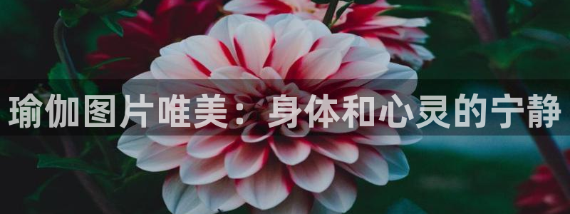 欧洲杯指定投注网站