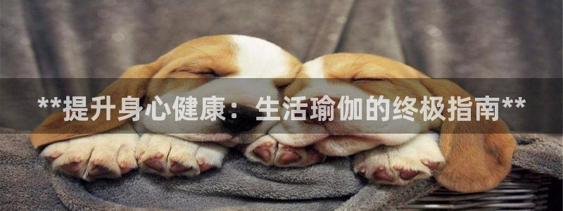 欧洲杯竞猜手机app推荐