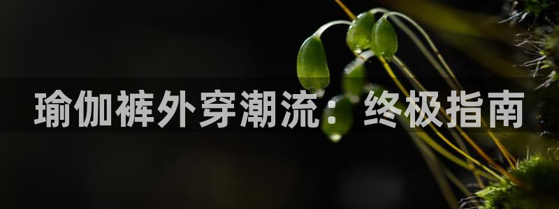 足球赌注平台app
