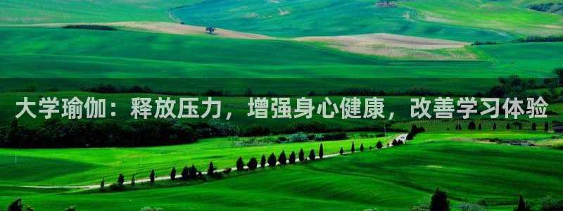欧洲杯下单平台官方网站