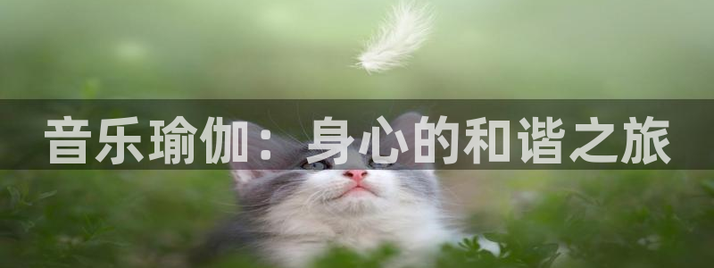 欧洲杯竞猜网站