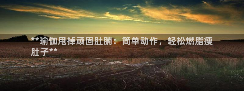 欧洲杯可以买冠亚军吗