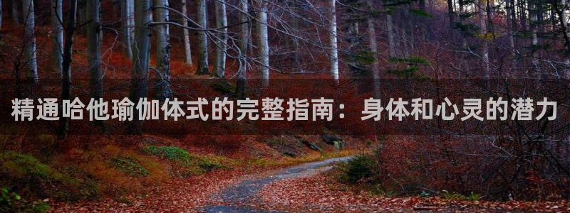 欧洲杯可以买冠亚军吗