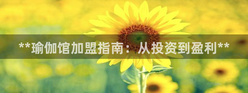 欧洲杯买球怎么买
