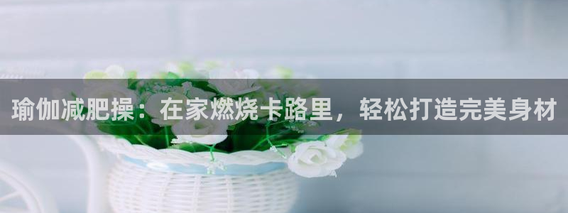 2024欧洲杯买球手机版
