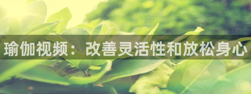 欧洲杯投注官方网站入口