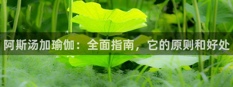 欧洲杯下单平台
