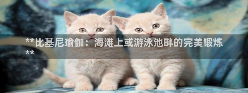 欧洲杯指定投注网站