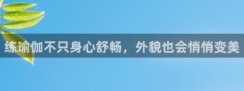 2024正规欧洲杯平台