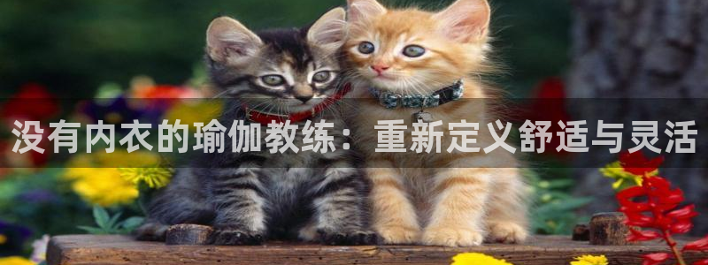 2024正规欧洲杯平台