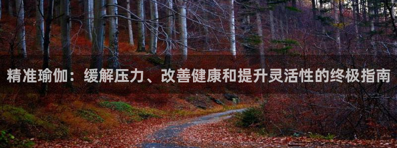 怎么买欧洲杯