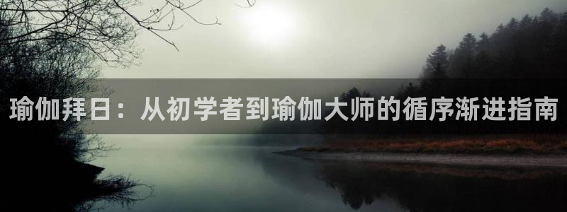 欧洲杯在哪个网站购买