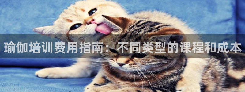 放心购买足球平台