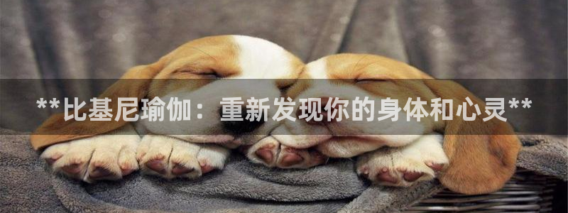 welcome欧洲杯