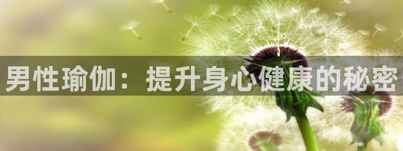 2024欧洲杯买球手机版