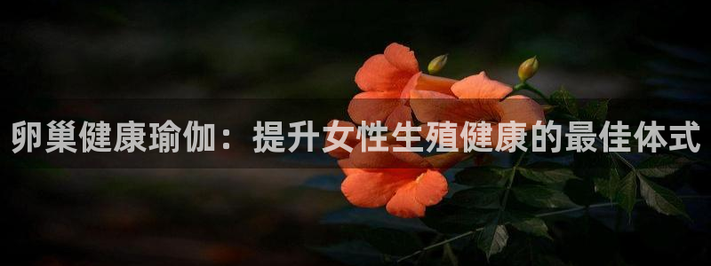 欧洲杯押注入口