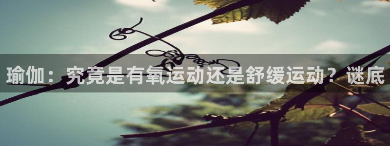欧洲杯投注官方网站