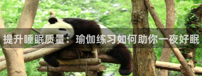 欧洲杯投注入口官网