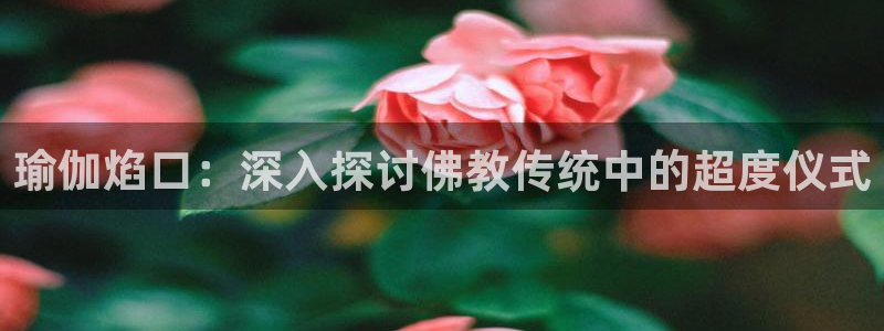 欧洲杯买球怎么买