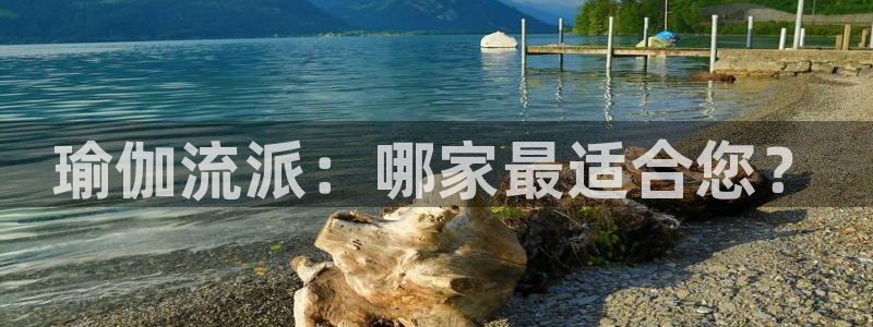 欧洲杯买注在哪买