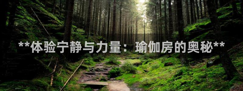 放心购买足球平台