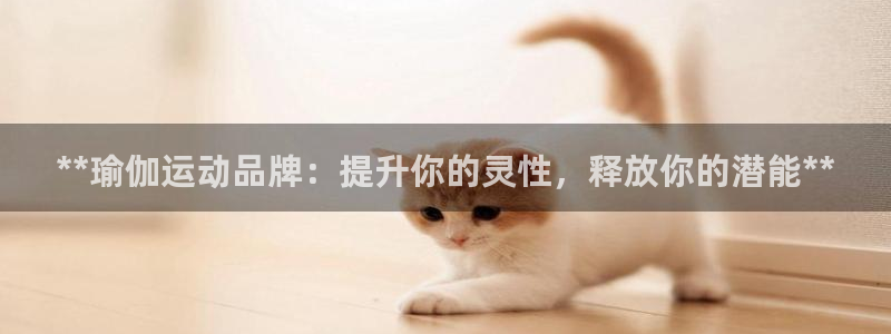 2024欧洲杯买球手机版