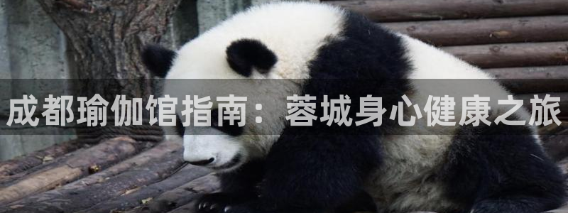 welcome欧洲杯开户