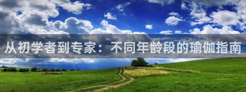 欧洲杯买球网