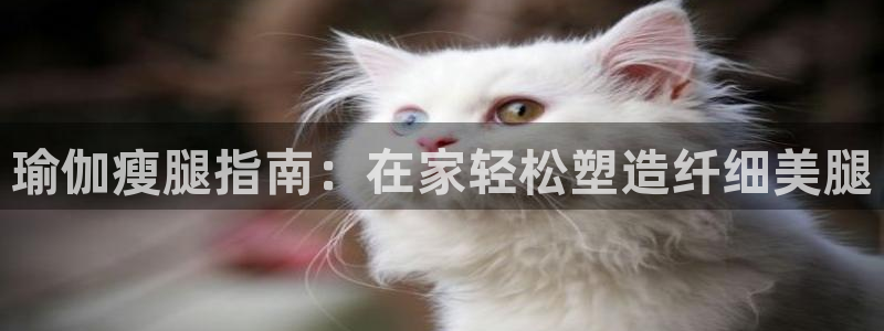 买球平台官方网站