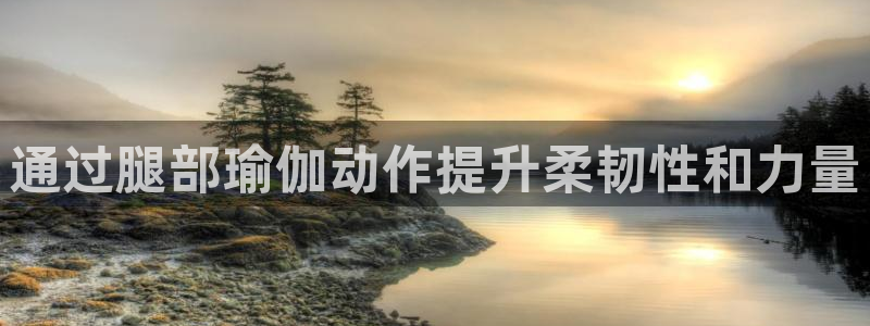 足球赌注平台app