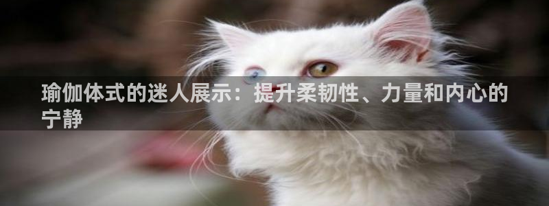 welcome欧洲杯