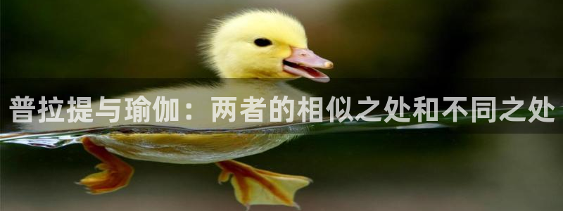 欧洲杯彩票哪里买