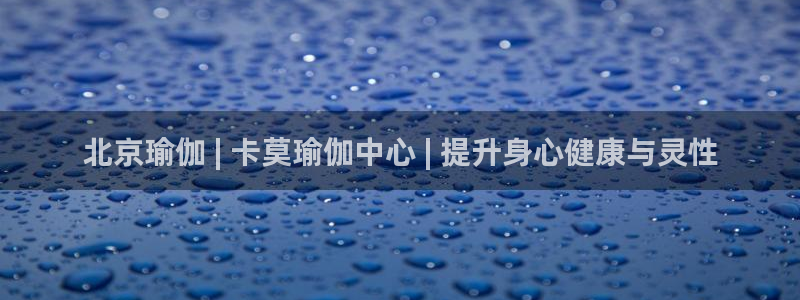 欧洲杯投注在哪找网址