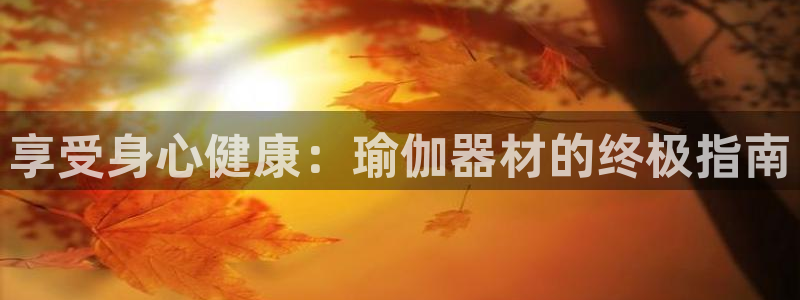 欧洲杯投注官方网站入口