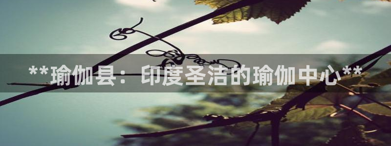 welcome欧洲杯开户