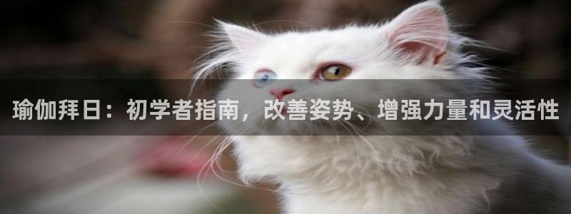 2024欧洲杯押注官网