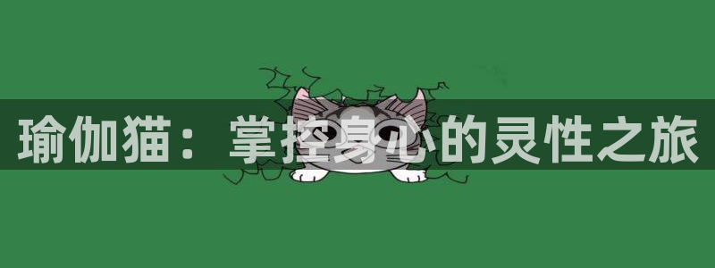 欧洲杯哪里买球靠谱