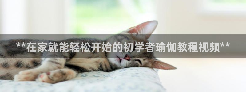 欧洲杯下单网址