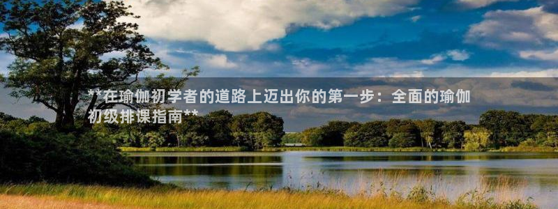 网上哪个平台可以买足球