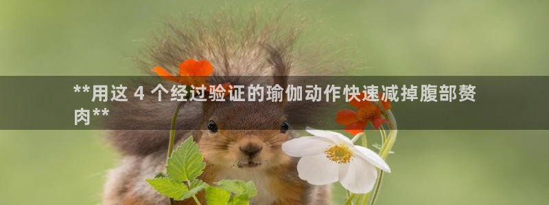 2024欧洲杯全部赛程