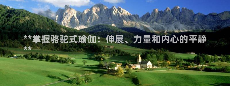 欧洲杯可以买冠亚军吗