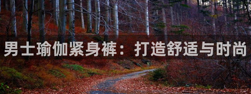 买球平台官方网站