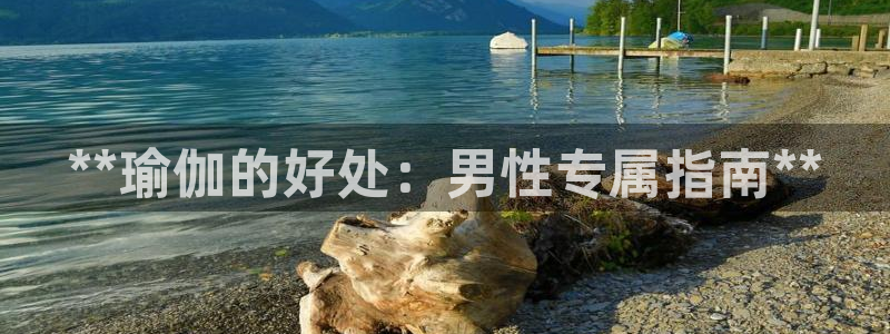 欧洲杯买球怎么买