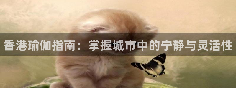 欧洲杯投注官方网站入口