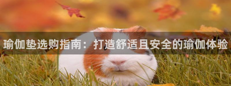2024年欧洲杯投注