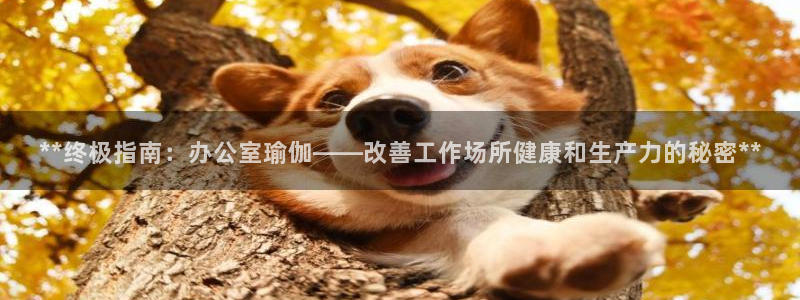 欧洲杯下单平台官网