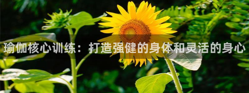 买足球平台哪个比较好